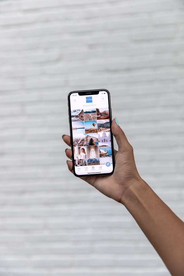What is Pixwox Used For